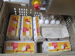 Oeufs prêts à l‘emploi