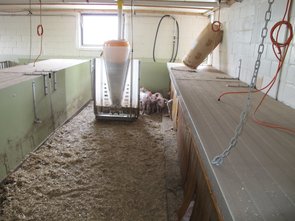 La halle des porcelets (environ de 10 à 25 kg Poids vif)