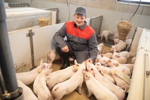 Kaspar chez les gorets