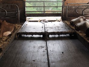 Le racleur retourne en arrière, le dispositif de raclage est relevé