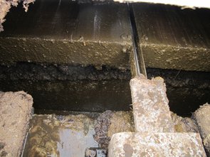 Evacuation du fumier