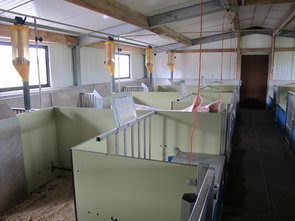 Les logettes du bâtiment des truies, construit en 2006