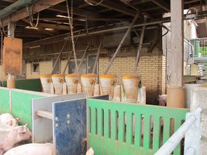 L’aire d’alimentation extérieure couverte par un toit 