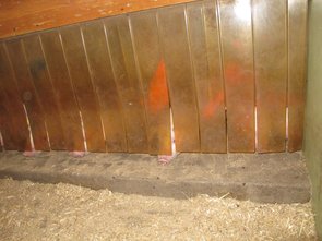 La zone chauffée des porcelets